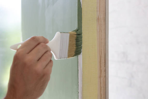 Best Basement Mold Removal  in Hilton Head Island, SC