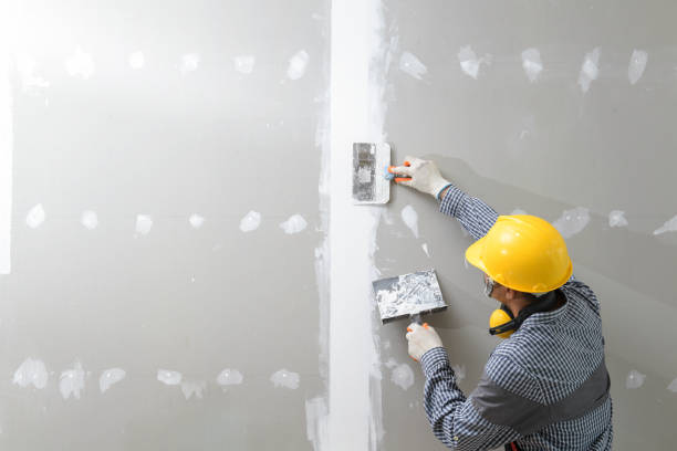 Best Attic Mold Removal  in Hilton Head Island, SC