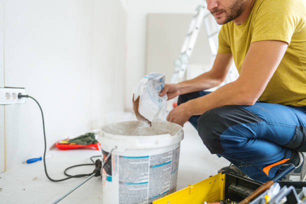 Best Black Mold Removal  in Hilton Head Island, SC