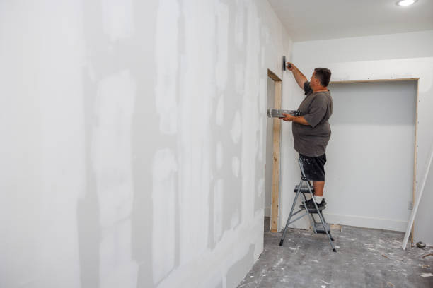 Professional Mold Removal in Hilton Head Island, SC