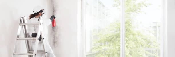 Best Mold Odor Removal Services  in Hilton Head Island, SC
