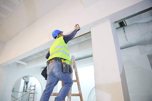 Best Real Estate Mold Inspection  in Hilton Head Island, SC