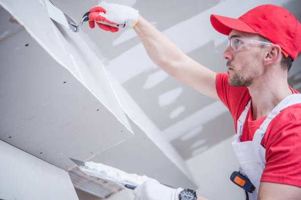 Best Forensic Mold Investigation  in Hilton Head Island, SC